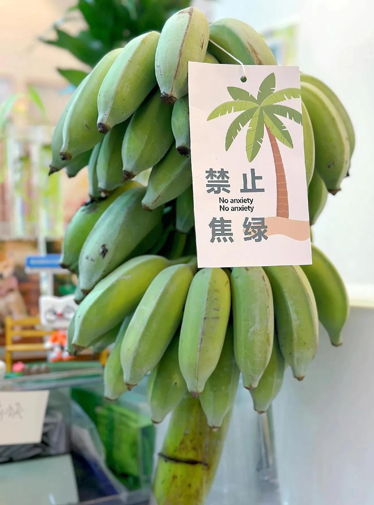 最近看到一篇文章，里面有一句很无力很扎心的话：“爸爸，为什么我们这么辛苦却还是很