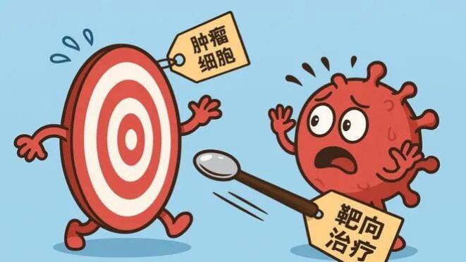 治疗性单克隆抗体（mAb）研发关键：人源化、亲和力成熟与产业应用价值