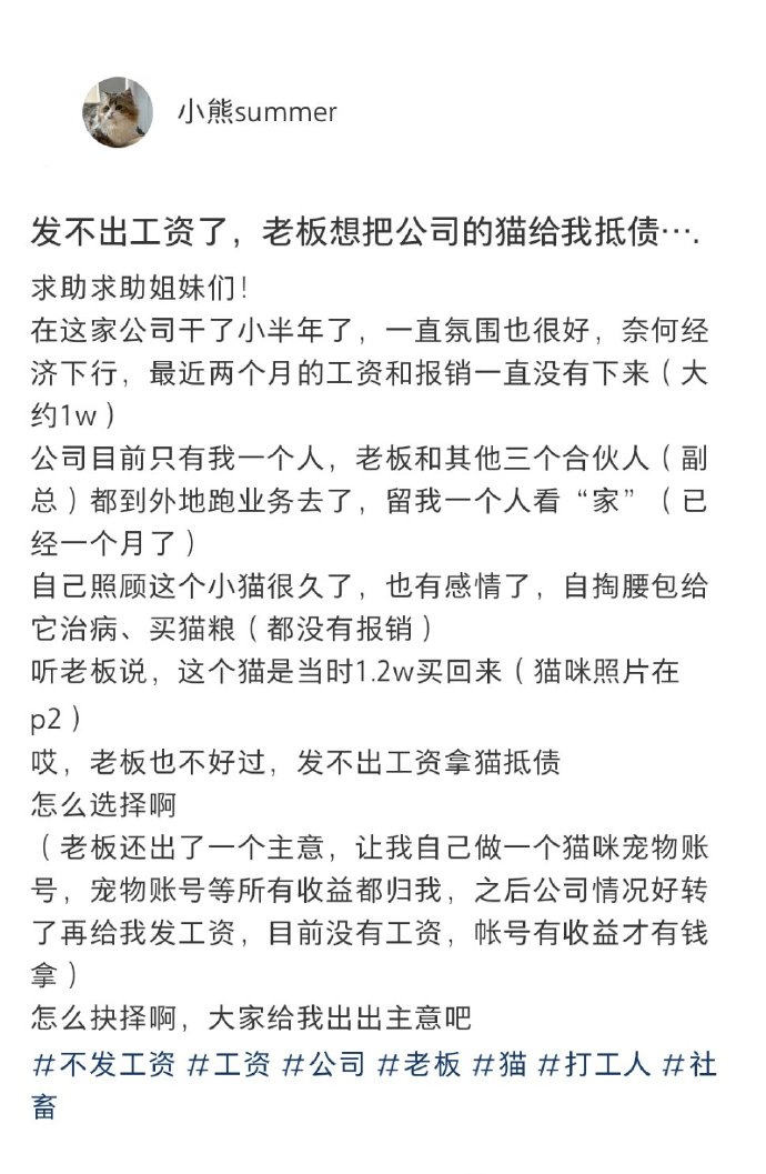 发不出工资老板想把公司的猫给我 ​​​