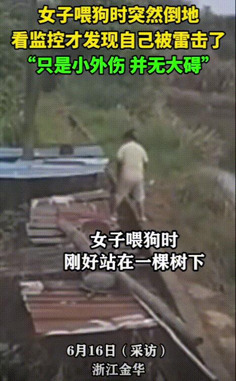 “这是上辈子拯救了银河系吧！”浙江金华，一女子喂狗的时候，突然一道闪电从天而降，