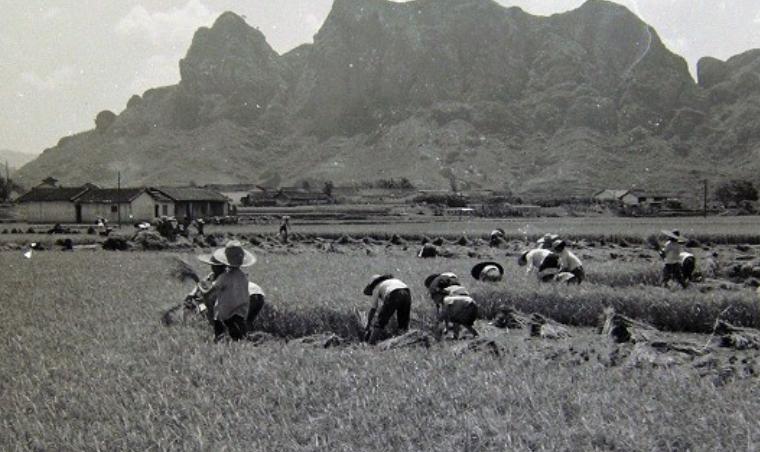 1977年，知青大返城，一个女知青来到男友的住处，她颤抖地解开衣扣说：“对不起，