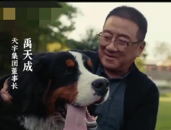 10.《以法之名》。终极大boss禹天成四年前就在谋划夺取万海的铜镍矿。因为镍的