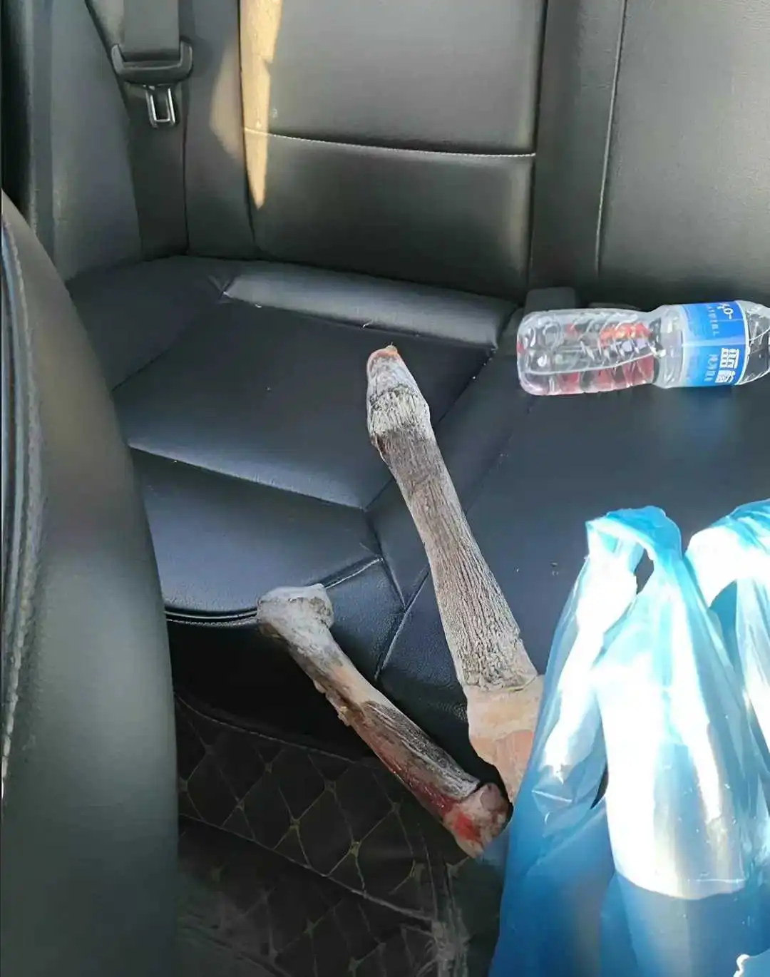 打滴滴的时候，竟然看到这个，要不要报警？