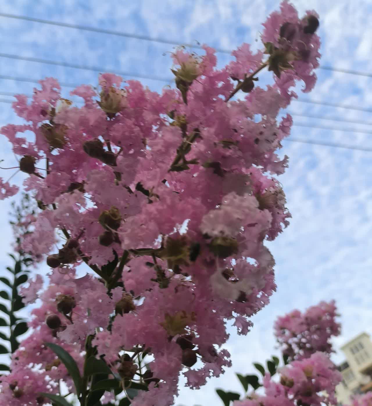 今天在一家繁华商场，差点挂了[捂脸]
碰一老太太问路，到商场五楼一家健身房干清