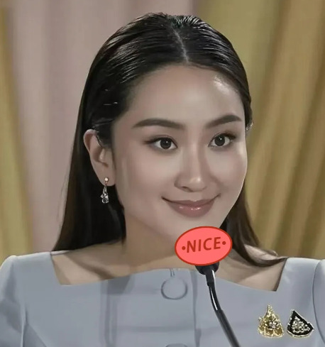 佩通坦违宪案 辩护延期为哪般











啥？佩通坦摊上大事儿了！违宪