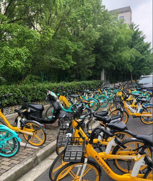 近日，一名网友发视频称，她带三个孩子去湖北武汉旅游，在回酒店的路上，扫码骑了一辆