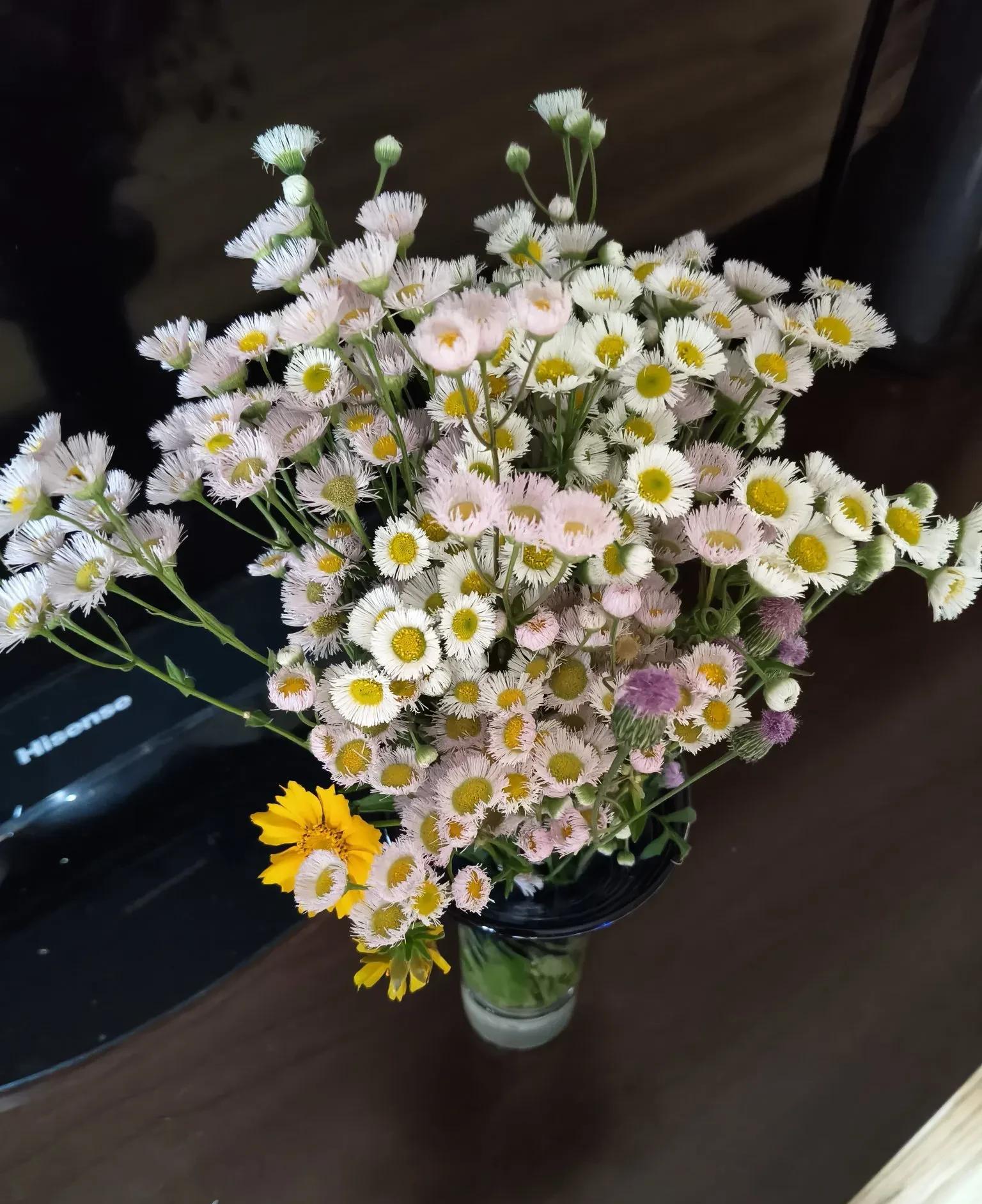 和儿媳相处不好，主要原因在于婆婆。



婆媳关系是否融洽，关键在于婆婆的态度。