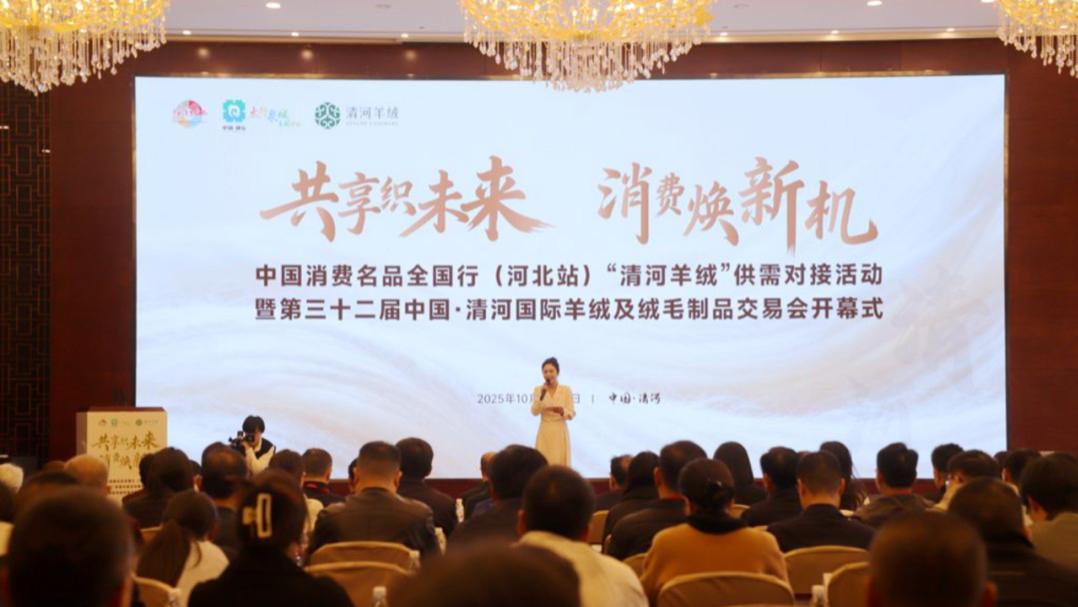 32届清河羊绒交易会落幕："世界羊绒看清河"的招牌该如何擦亮？