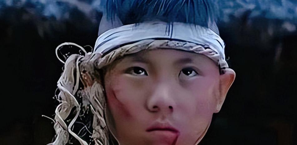 1390年，朱元璋下令抄了陈家，8岁的陈子善怒吼：我祖父为你挡了九箭，父亲战死沙