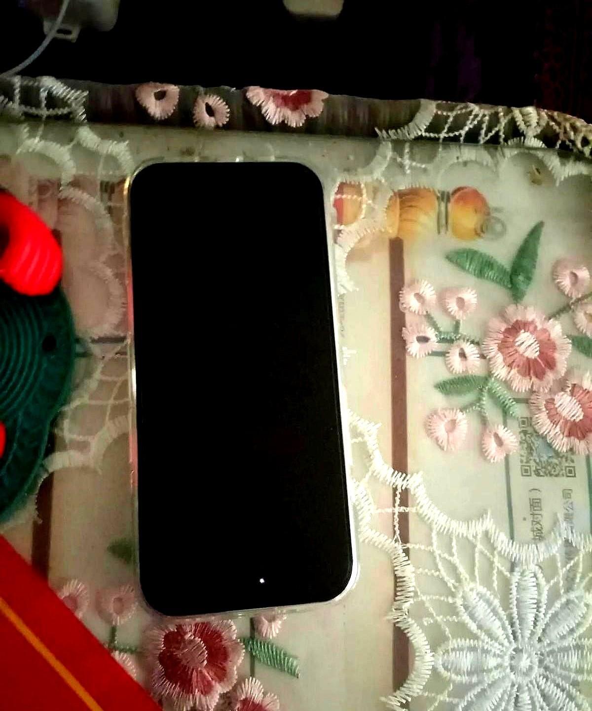 儿子前日将苹果十四手机丢了，对方捡去一直关机，因为苹果机有定位，所以对方不开机。