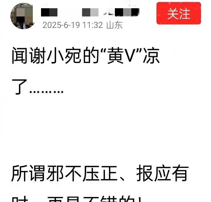 有人对我谢小宛黄V凉了感到幸灾乐祸。正如这个博主，那是表现得极其兴奋，他忍不住发