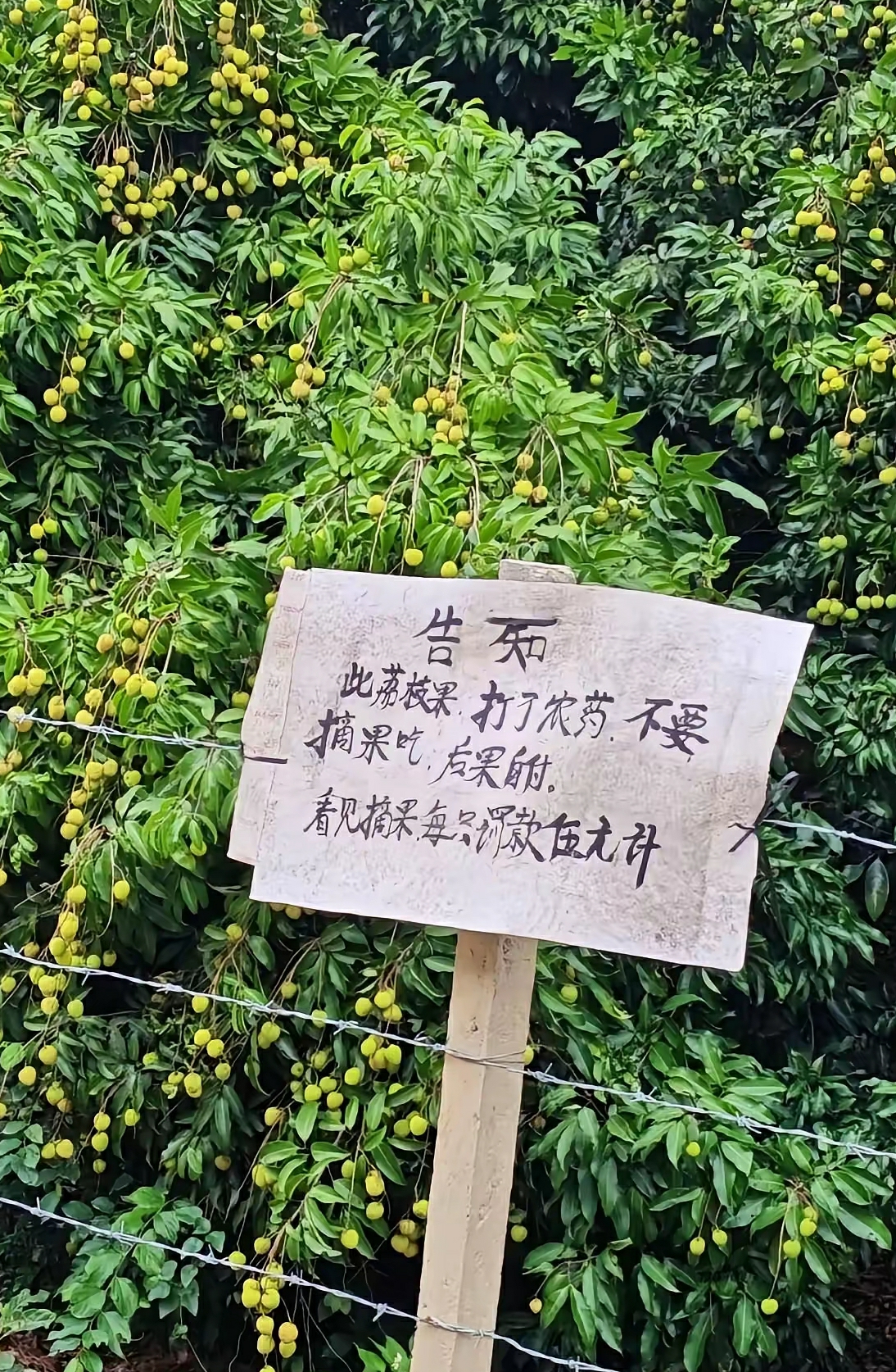 吃都吃了，才看到这个牌，要不要去医院