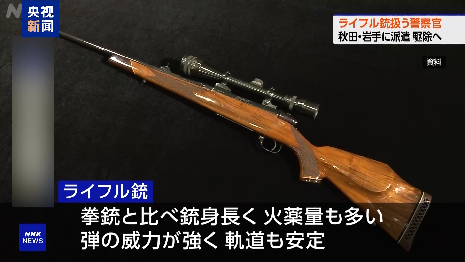 日本红叶公园因熊出没，1月关两次门，日本熊多到开始招摇过市了