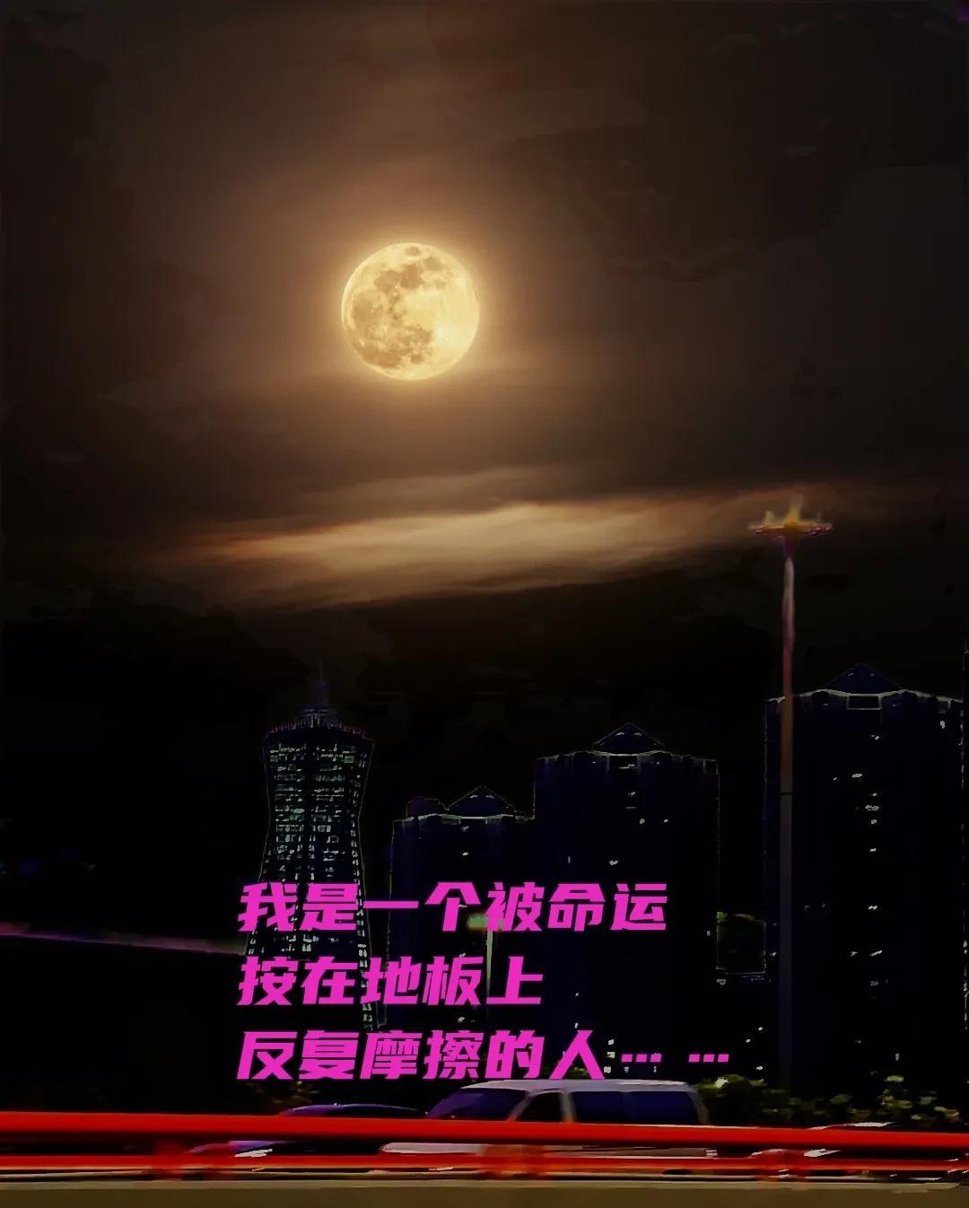我是一个被命运按在地板上反复摩擦的人……
有时，我不禁暗自思忖，上辈子的我，或许