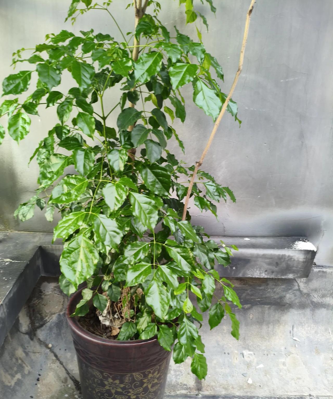 40岁你手上有多少存款？5万算多吗？今天朋友在一起喝茶的时候，问了大家一个问题。