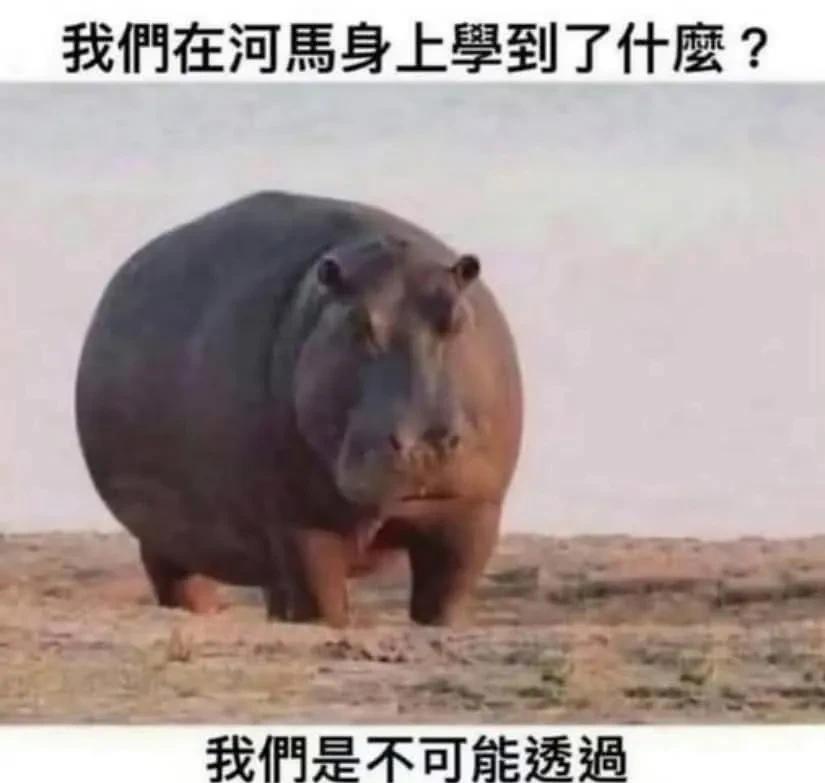 学到了！[捂脸][大笑][灵光一闪]