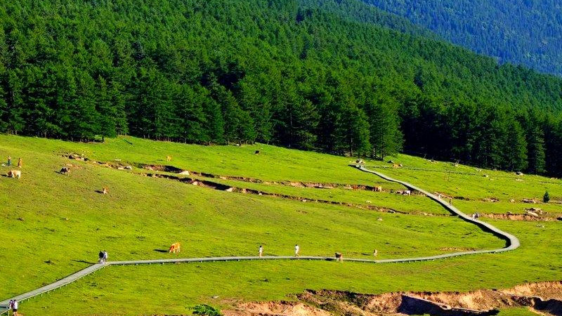 云端牧歌·太原之巅｜云顶山全攻略：解锁“离尘不离城”的高山秘境