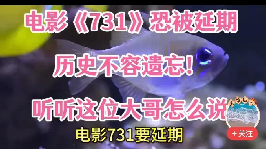 二十年前观看《黑太阳731》，走出电影院的那一刻，内心无比悲愤，从此立誓：血海深