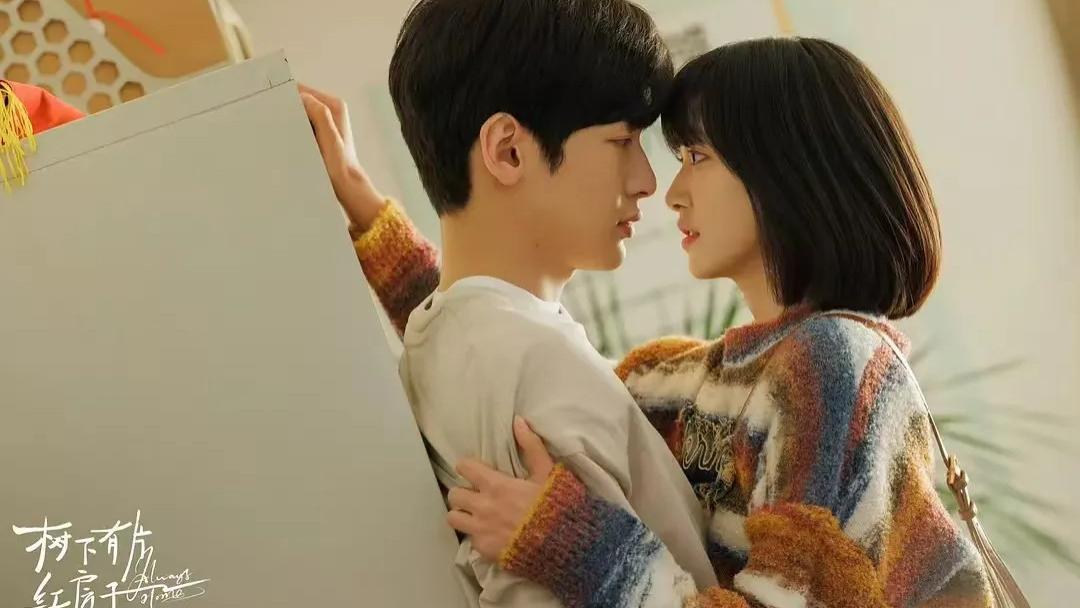 《树下有片红房子》这剧不爆，真是观众的损失！