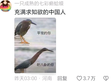 好抽象阿，哈哈