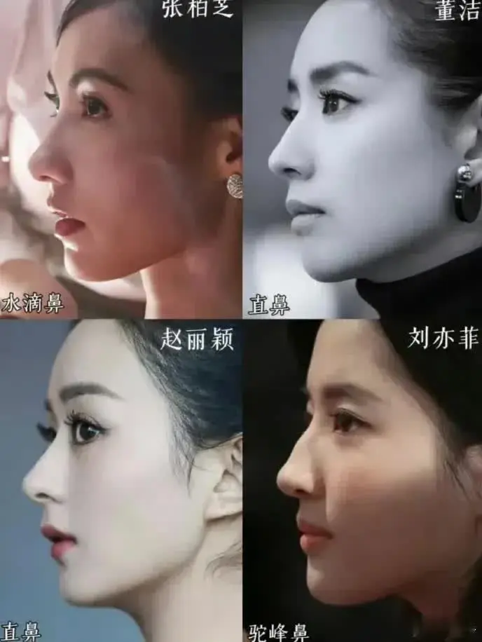 单看整体，张柏芝和刘亦菲好看