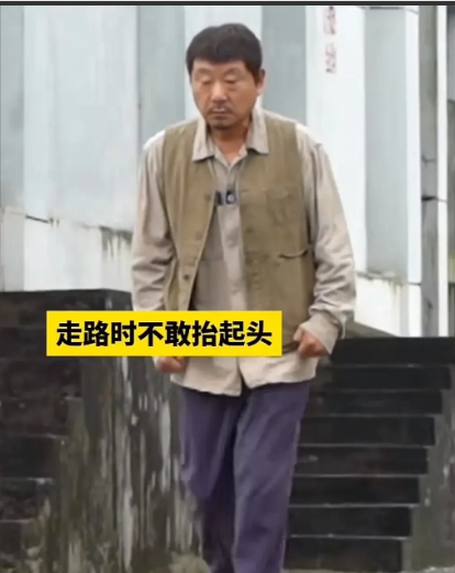范伟在角色的把握和塑造上强过陈道明，陈道明的演技一直没有突破，现在演什么都有一种