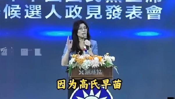郑丽文再谈高市早苗: 没有错，自民党内极右派抬头；没有错，高市早苗扭曲历史歪曲历