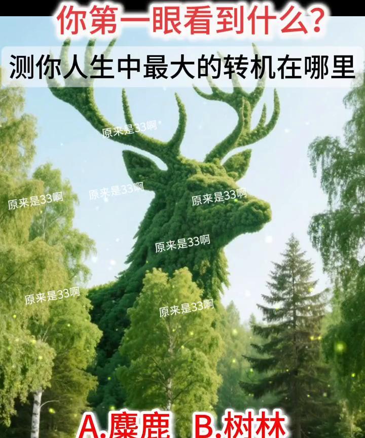 你第一眼看到什么？测你人生中最大的转机在哪里。
原来是33。A.麋鹿；B.树林。