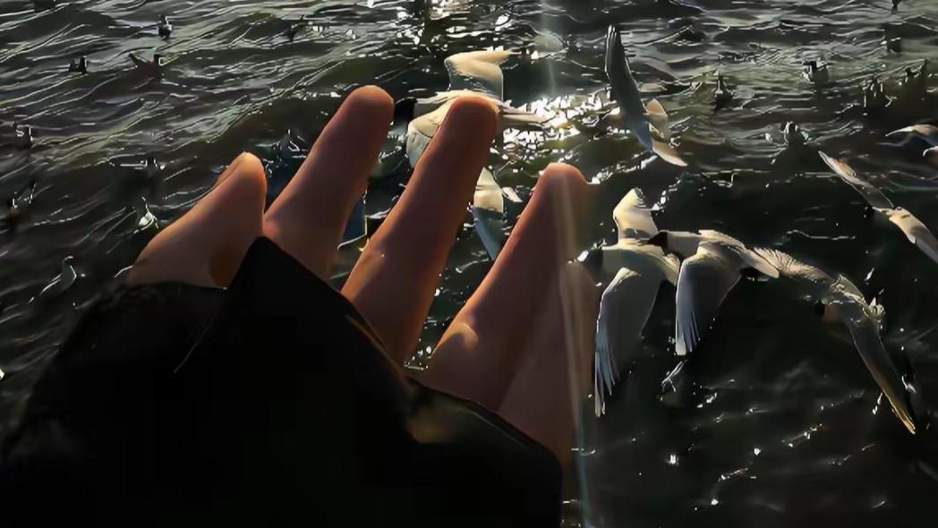 命运，我们不应该向你低头