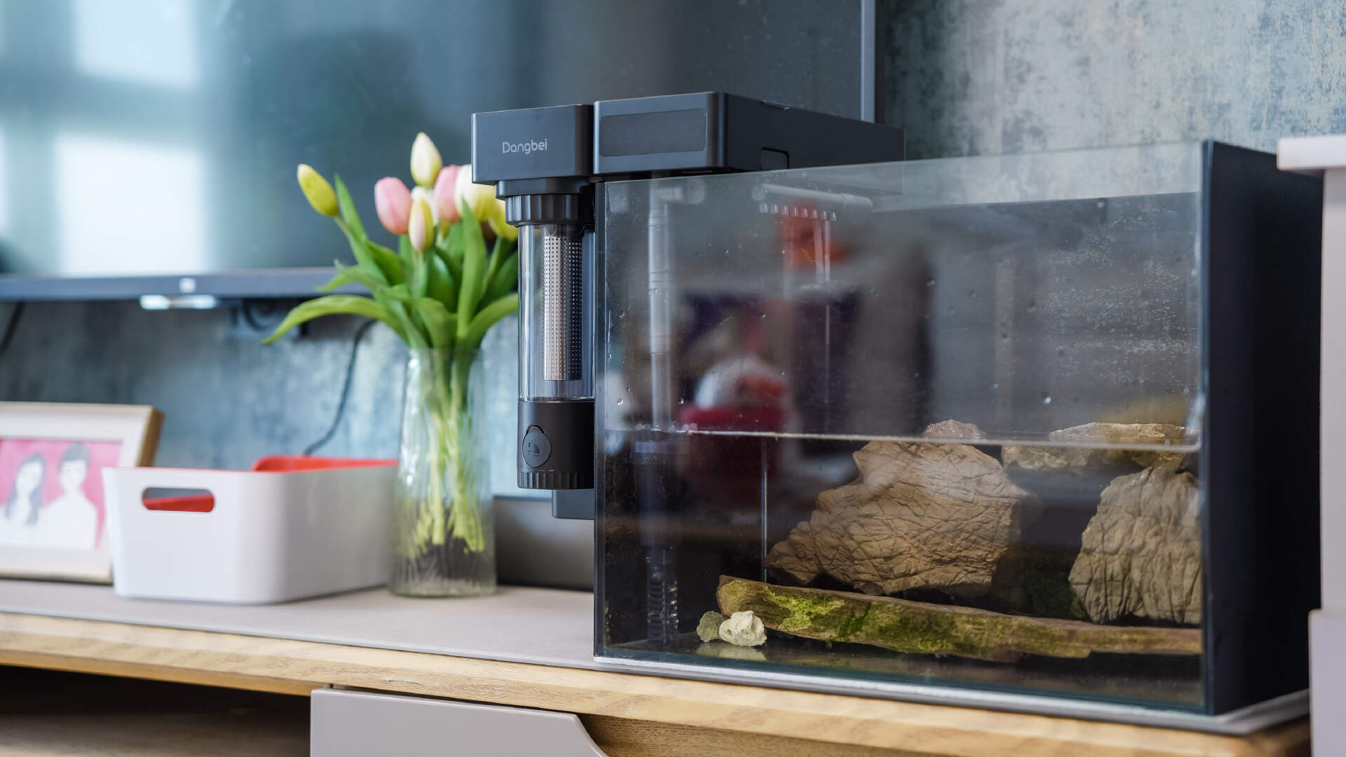 开启智能养鱼新时代：当贝 N1 800AI过滤器