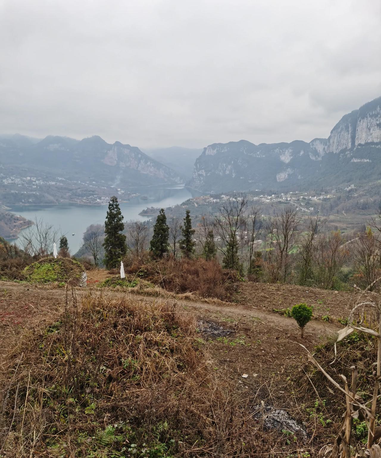 那边应该是天堂（怀念父亲）
父亲静静地躺在山坡
朝着一面湖水
天上白云悠悠
左邻
