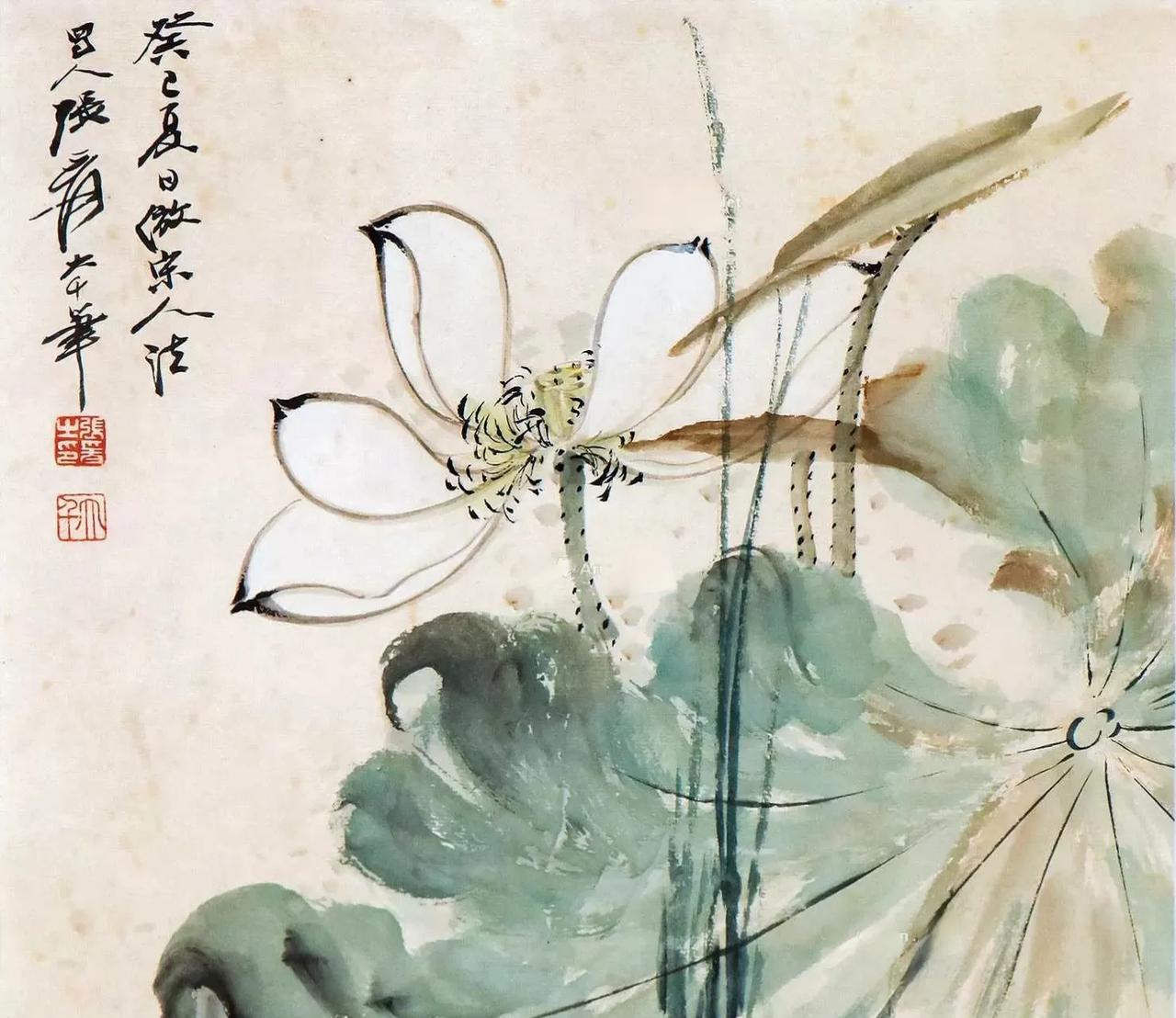 张大千画荷可分三类:
一是工笔荷，
二是写意红荷、白荷，
三是勾花点叶荷。
可谓