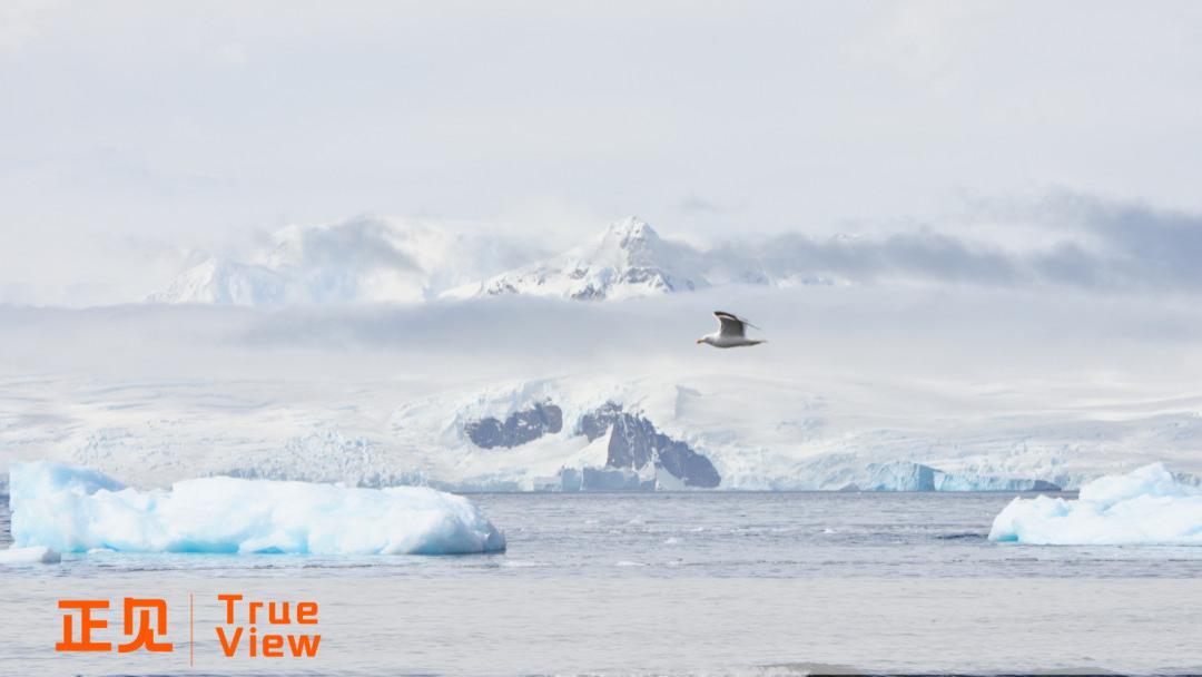 智能手机惊变2025：固化的高端、流动的中场，与闯入门口的AI革命