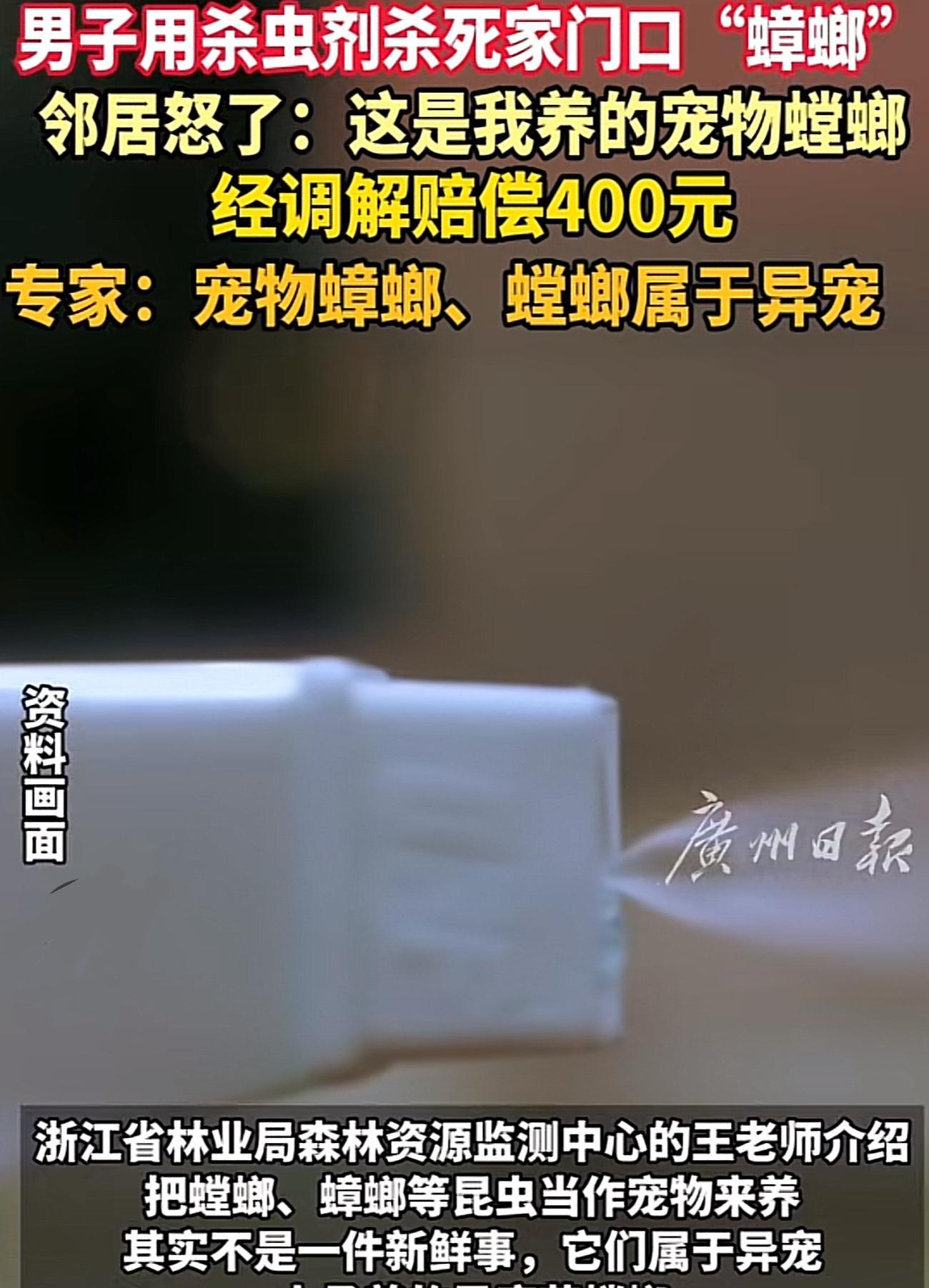“解释不清了！”



7月6日，杭州一小区内发生了一件让人啼笑皆非的事件，迅速