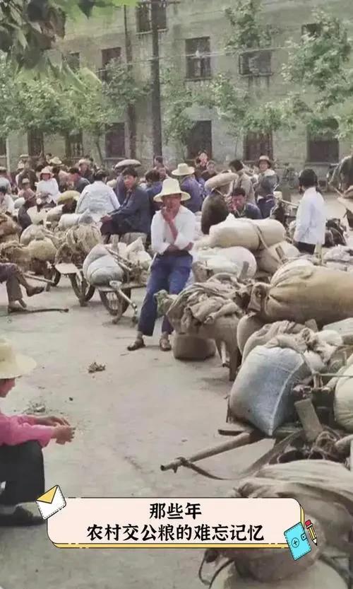《老农民值的同情吗？》我认为这得分开说，当年老农民交公粮供给了城市人职业人，这些