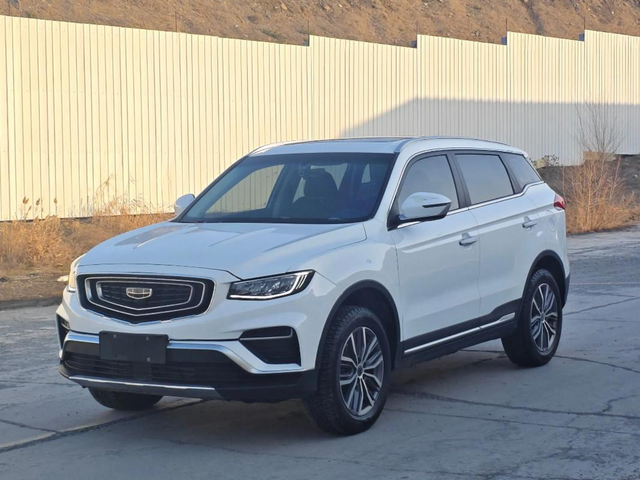 2020款博越pro
有没有2020款博越pro的车主朋友，你们的碳罐电磁阀出问