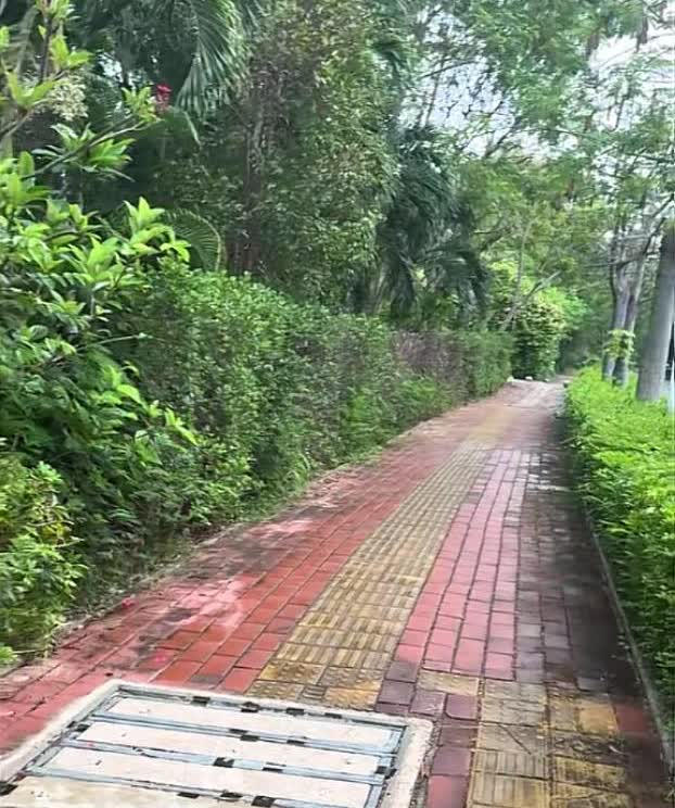 现在家属又在怪当地没有在路上立“小心蛇出没”的牌子了。

这是“女游客三亚被