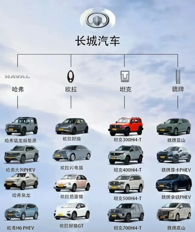 长城车销量低迷，其实也属于正常想象啊！国产“五虎”，随便一个拉出来，把轿车销量砍