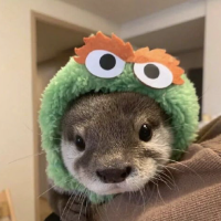 倾城之恋故人留