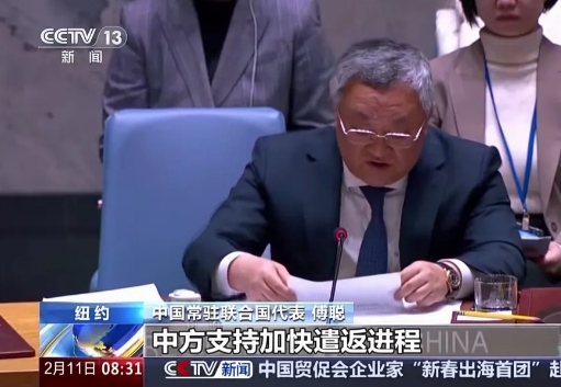 看来东大暂时不会与叙利亚新政府建交了。2月11日，傅聪在联合国大会上敦促叙利亚当