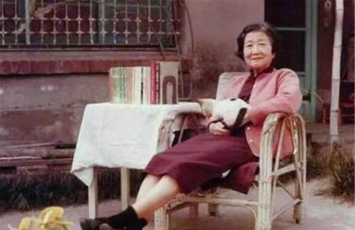 才女苏雪林，结婚36年，拒绝同房，守寡38年。



1925年，28岁的苏雪林