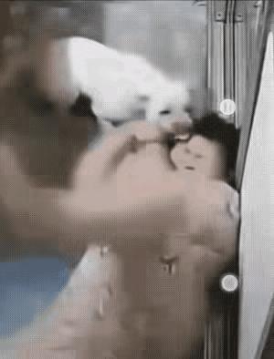自作孽不可活！不养狗的，不理解女主人为何与狗儿子一起睡？
一天，狗狗已睡下了，而