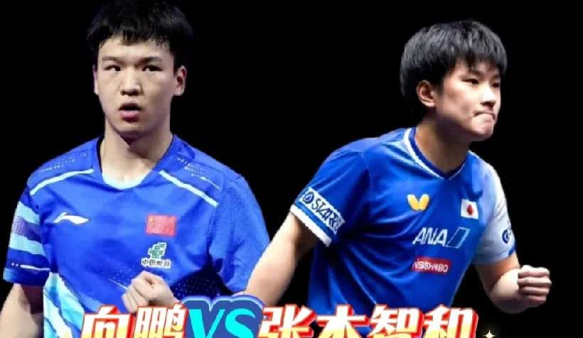 硬仗也是焦点之战！
向鹏VS张本智和
本以为这次横滨冠军赛林诗栋能向张本智和