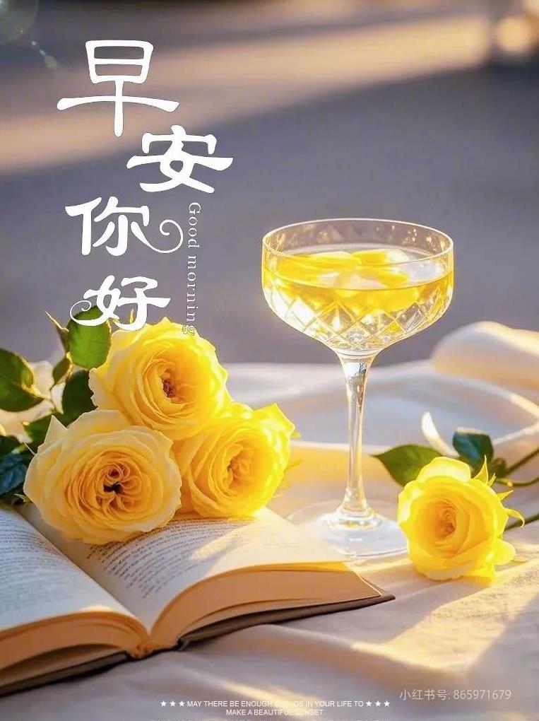 早上好，今天是6月17日星期二，距女排世联赛香港站的比赛还有1天。
从最新发布的