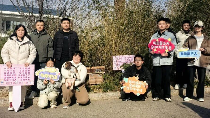 筑爱暖冬，为校园流浪猫安个“家”！