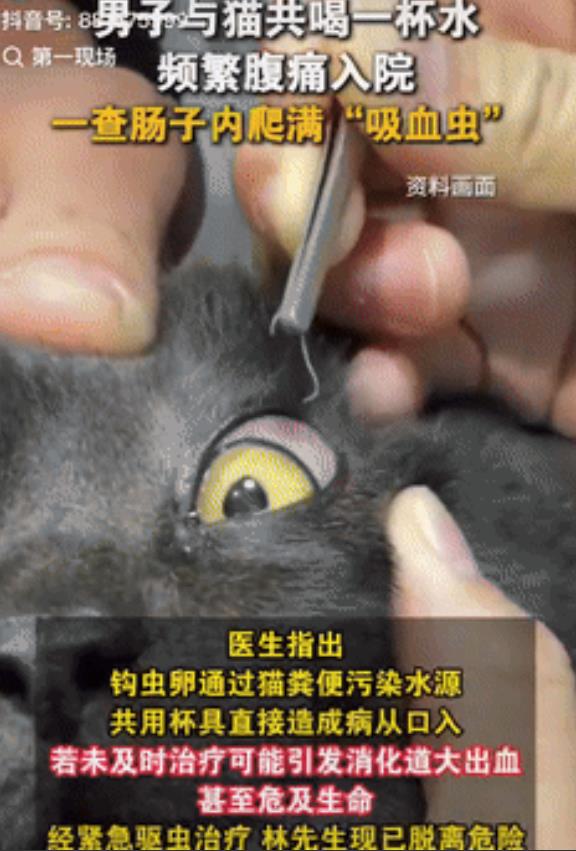 “这心是真大！”福州一男子养了只流浪猫，还允许猫跟他使用同个水杯，没过多久，男子