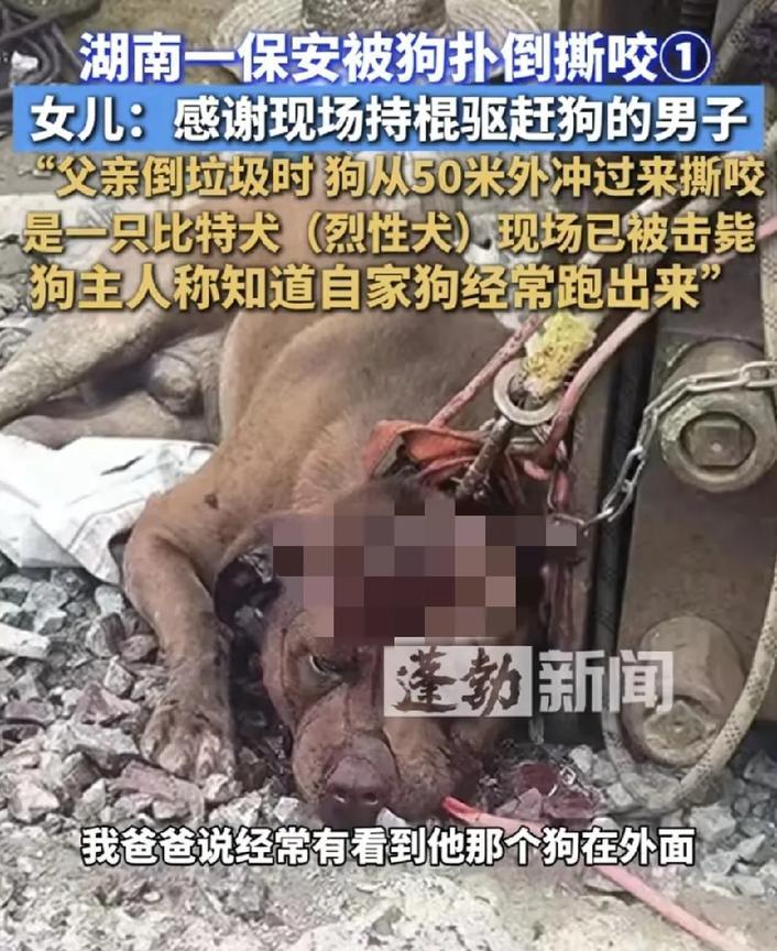 疑似被烈性犬咬伤的保安儿子说：保安被狗咬后，进了手术室5个小时才出来，想必应该被