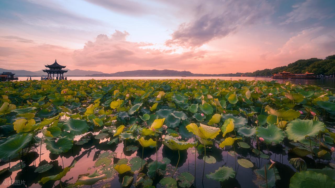 预设跟他人共度余生，这是病，得治