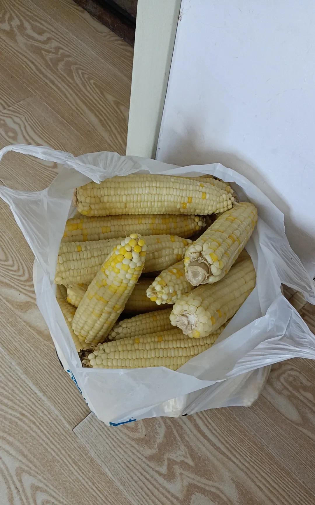 不说不快，憋在心里一天了。想起一早上干的事，难道有错吗？半夜在这反思，一早上去买