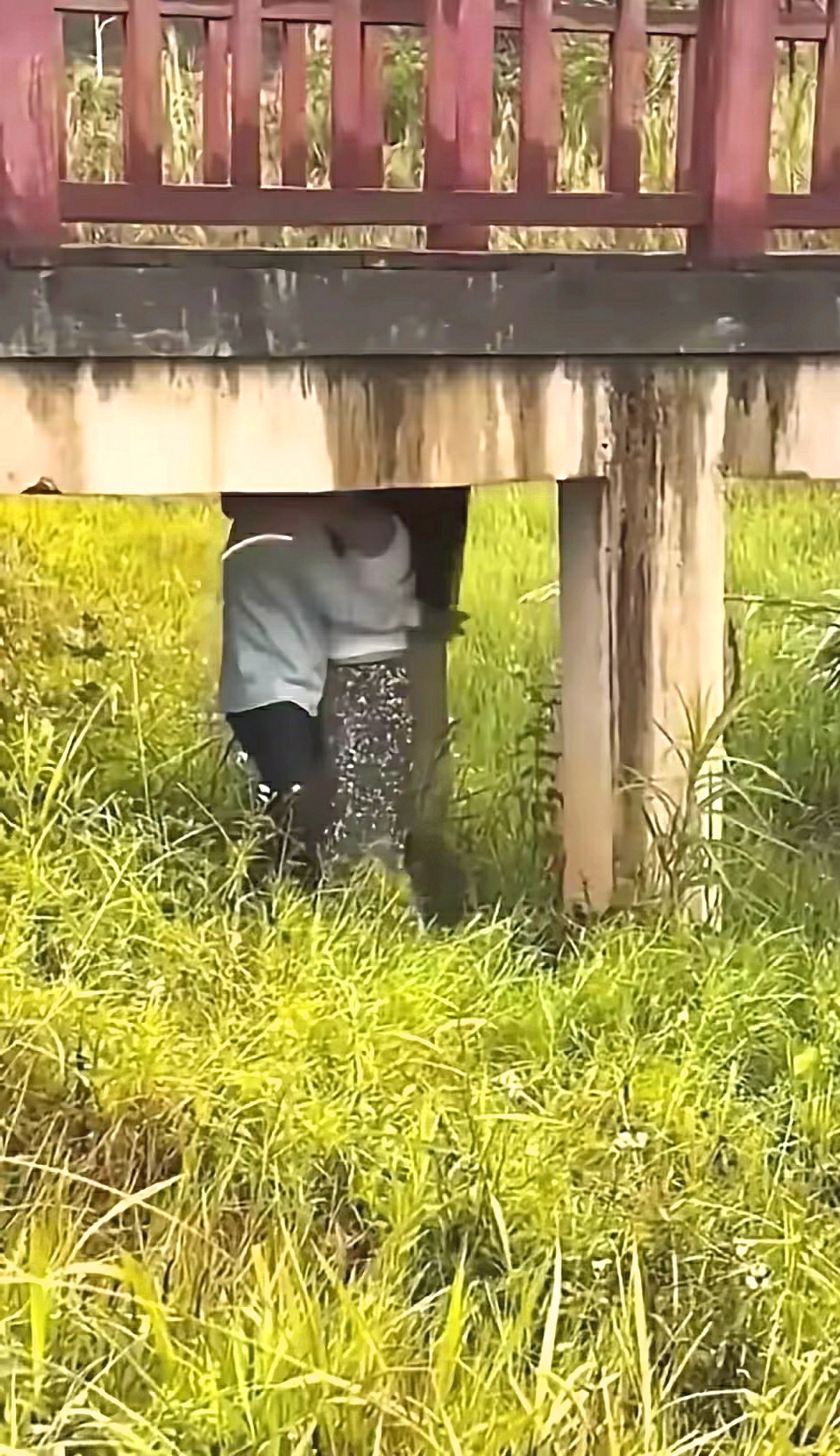 两位也太疯狂了吧？